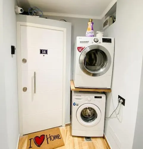 Matisse No14 - Center