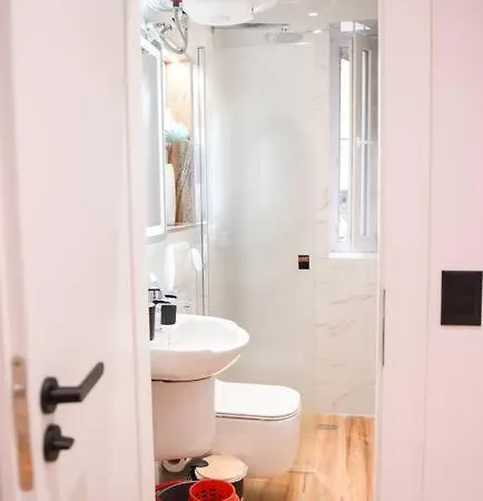 Matisse No14 - Center * ティラナ